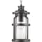 Progress Lighting Haslett Collection One-Light Hanging Lantern P550031-103 - alternate 3
